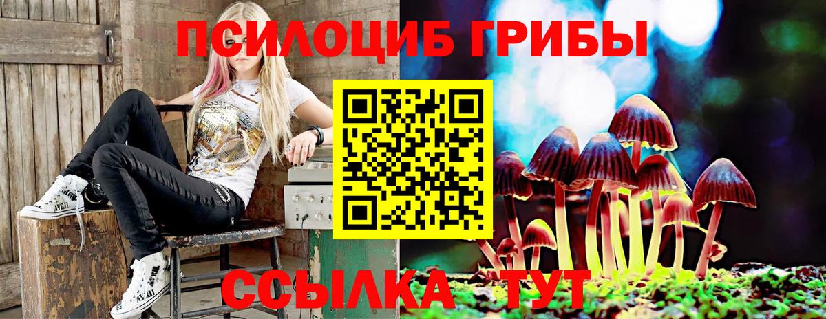 Псилоцибиновые грибы Cubensis Таганрог
