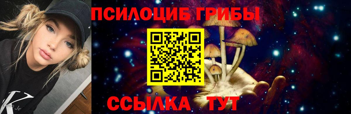 Галлюциногенные грибы Psilocybine cubensis  Вход с VPN  Таганрог  Псилоцибиновые грибы Psilocybe 